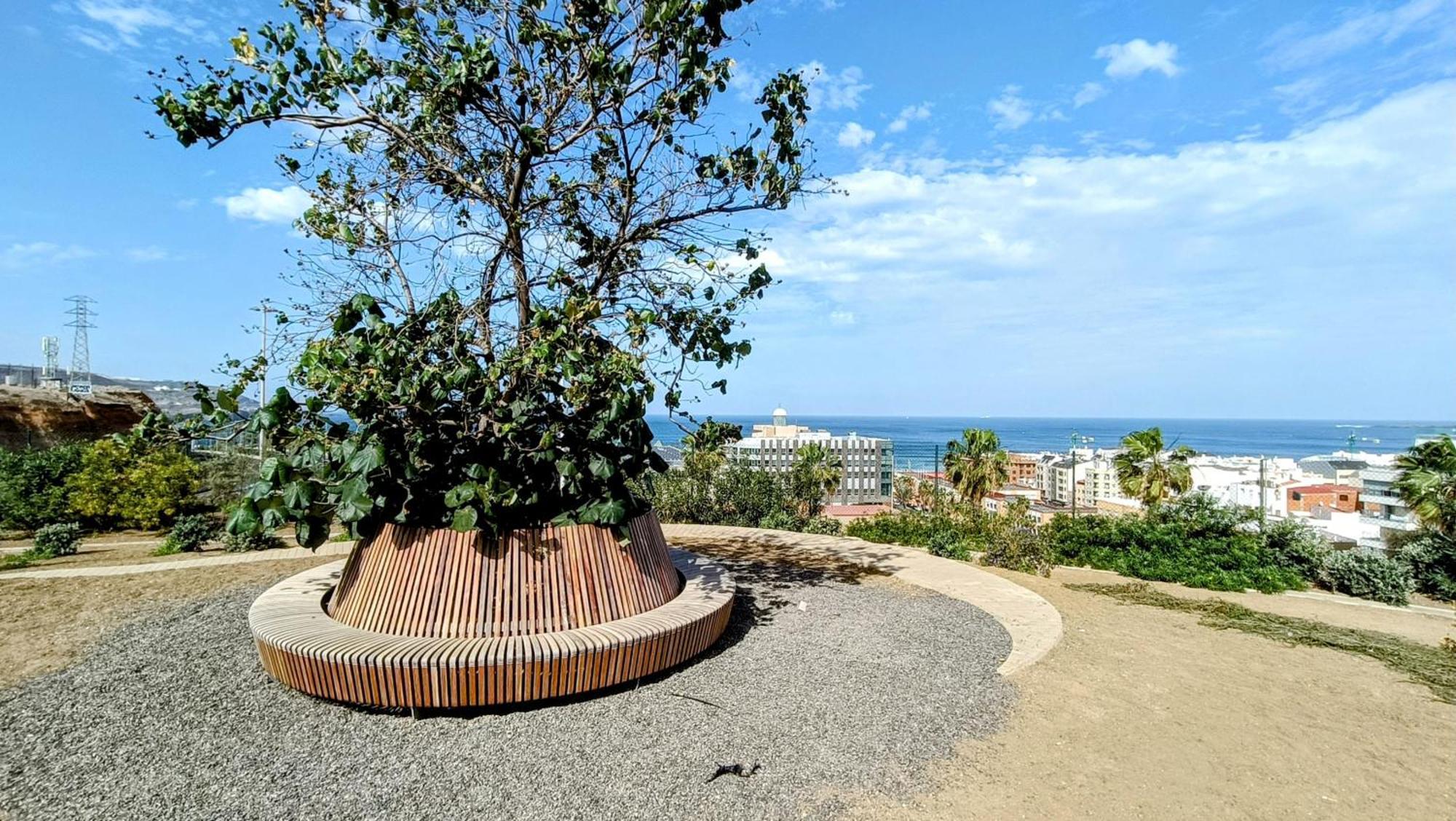 לאס פאלמס דה גראן קנאריה Luxury Las Canteras, Pool & Gym מראה חיצוני תמונה
